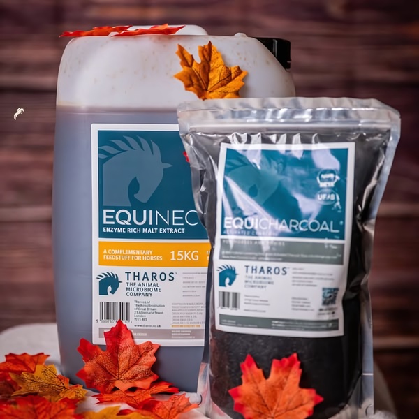 A high-contrast, seasonal product photography shot featuring a liquid supplement jug and a charcoal pouch surrounded by autumnal leaves.